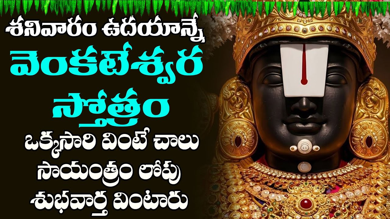 శ్రీ వేంకటేశ్వర స్తోత్రం జపించడం  లేదా వినడం వల్ల దైవిక రక్షణ లభిస్తుంది |      Venkateswara Stotram