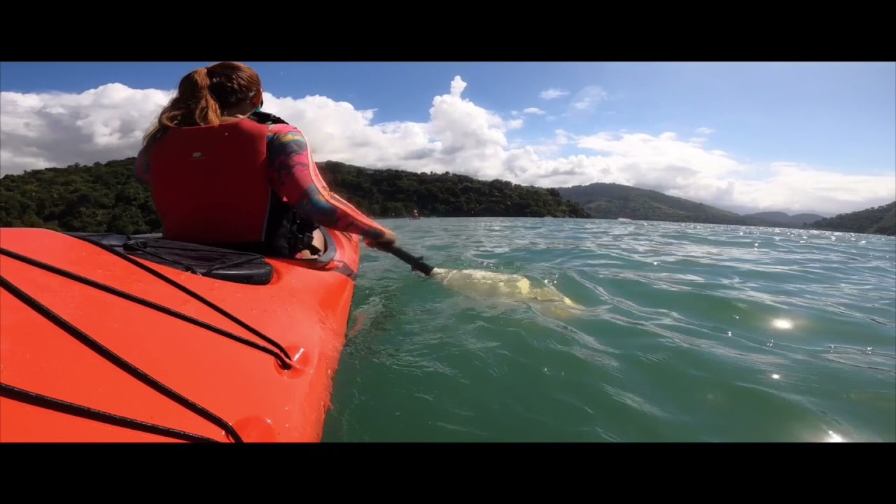 Passeios de Caiaque em Manguezal e ilhas de Paraty - RJ . Natureza, diversão e esporte.