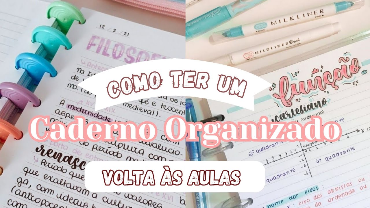 Como ter o CADERNO ORGANIZADO e Bonito em 2024 / t&iacute;tulos, capas , volta &agrave;s aulas