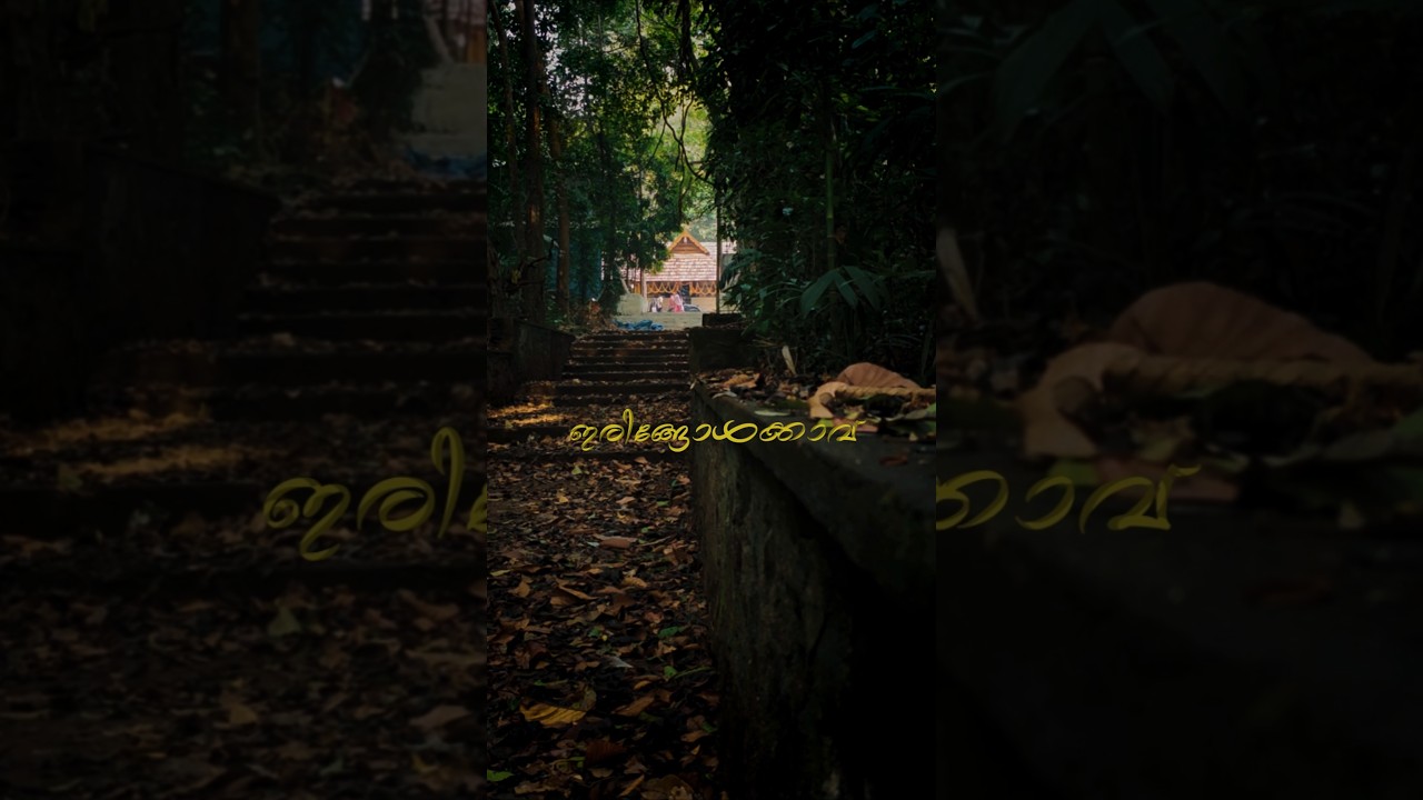 Iringolkavu - Iringole Kavu is a forest temple dedicated to Goddess Durga. #iringolkavutemple
