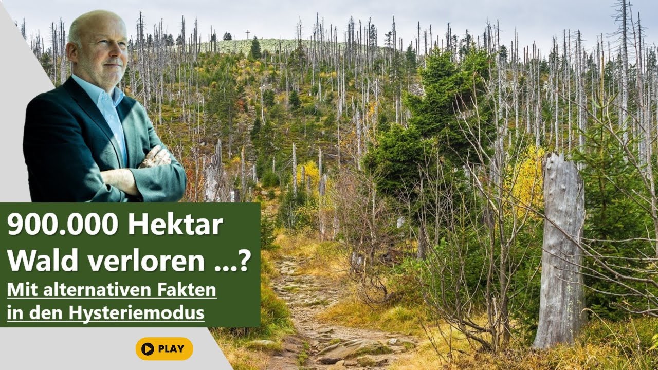 900.000 Hektar Wald verloren ...? Mit alternativen Fakten in den Klimahysterie-Modus