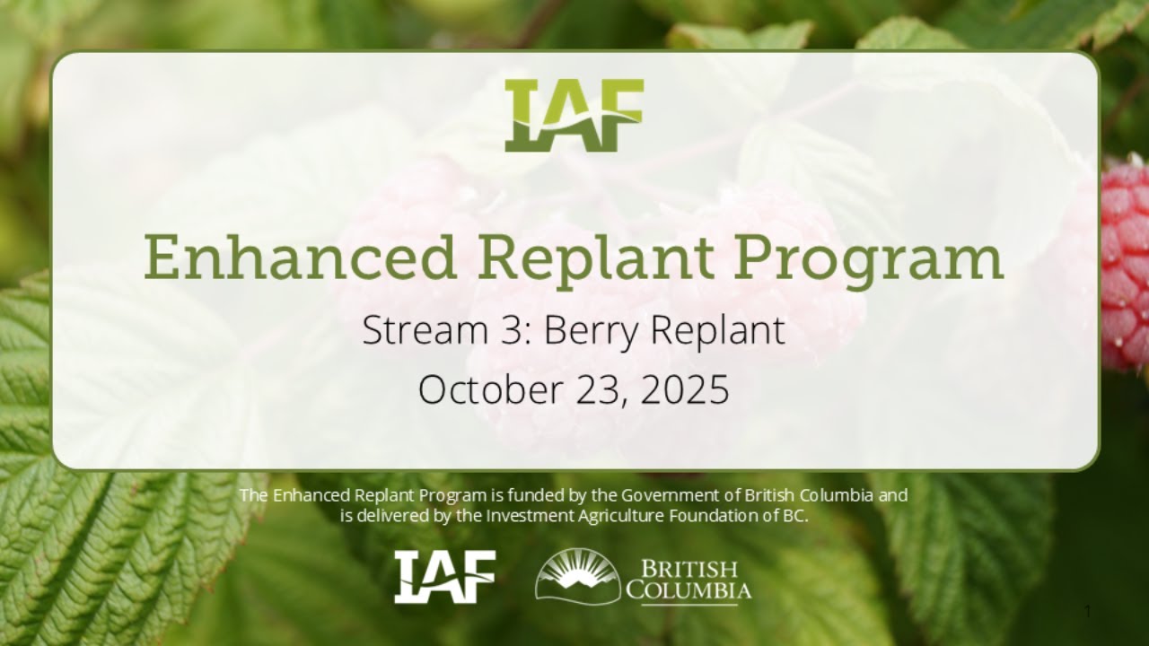 Stream 3: Berry Replant Webinar 2025/26 | Enhanced Replant Program