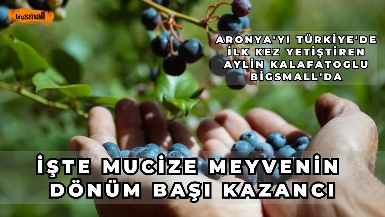 En güçlü antioksidan - Don riski ve ilaçlaması yok. Tüm merak ettikleriniz bu videoda