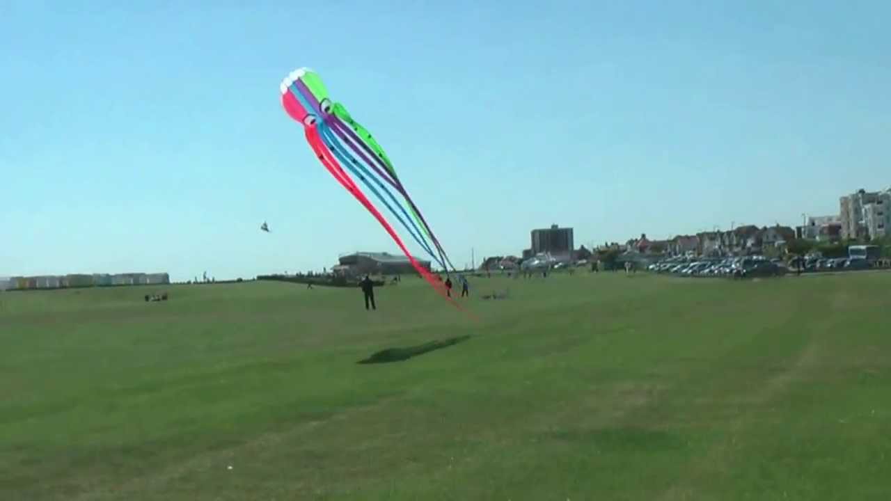 Octopus Kite Flying Beach Green Lancing