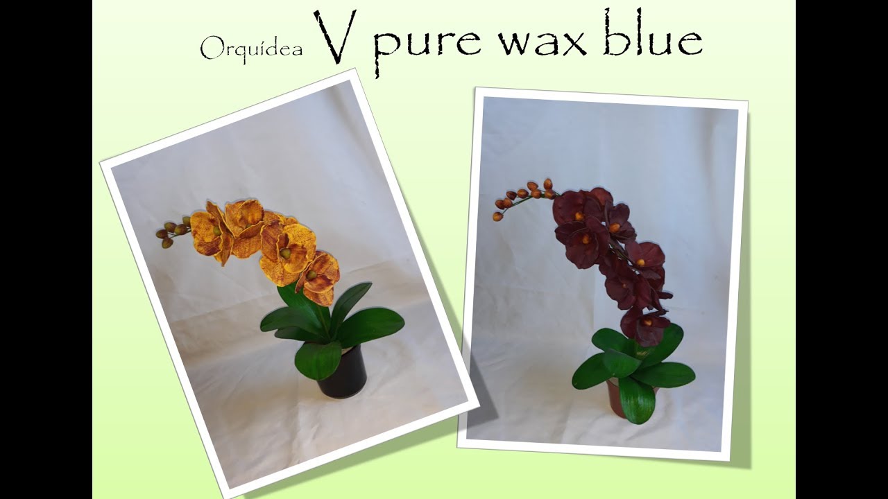 DIY -  Passo a Passo ORQUIDEA V PURE WAX BLUE