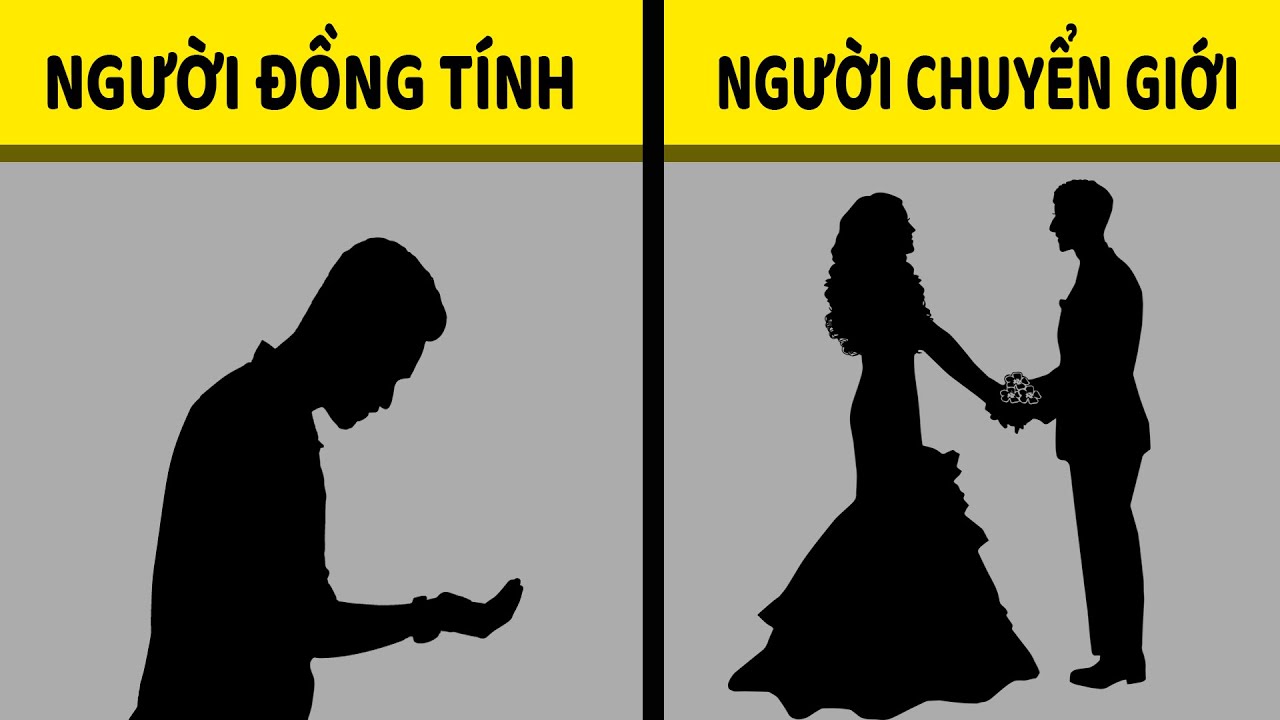 Cộng đồng LGBT & Kiến thức 95% mọi người đang nhầm lẫn