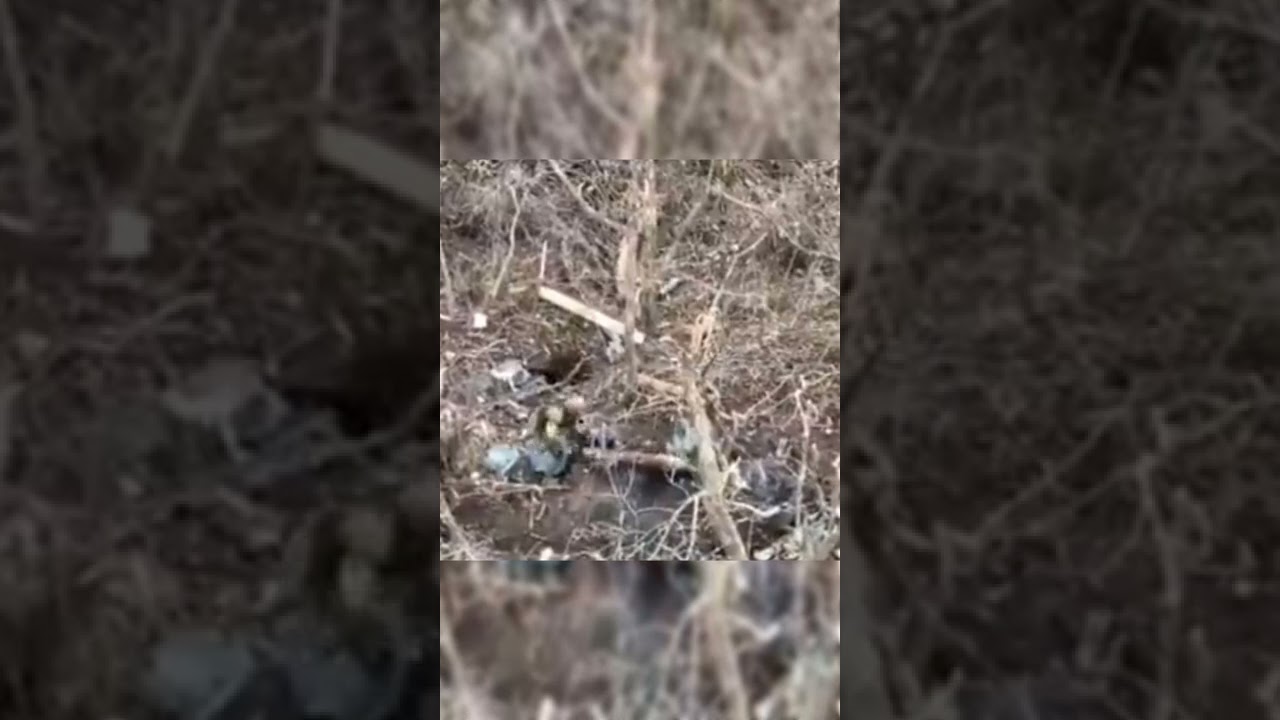 Ukraine war footage, firing from point blank