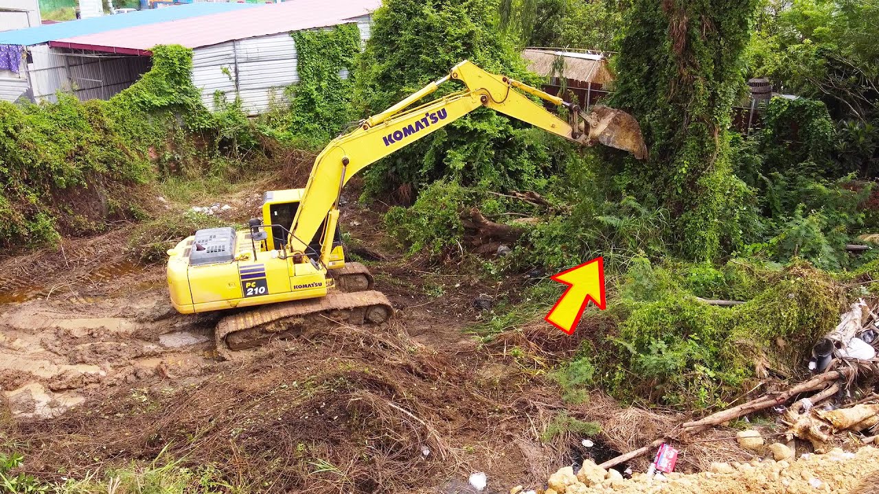 Amazing Excavator Skills! Komatsu PC210 Knocks Down Massive Trees | Land Clearing