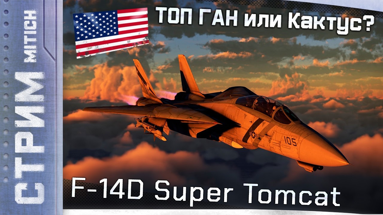 Стрим. F-14D Super Tomcat ТОП ГАН или Кактус?