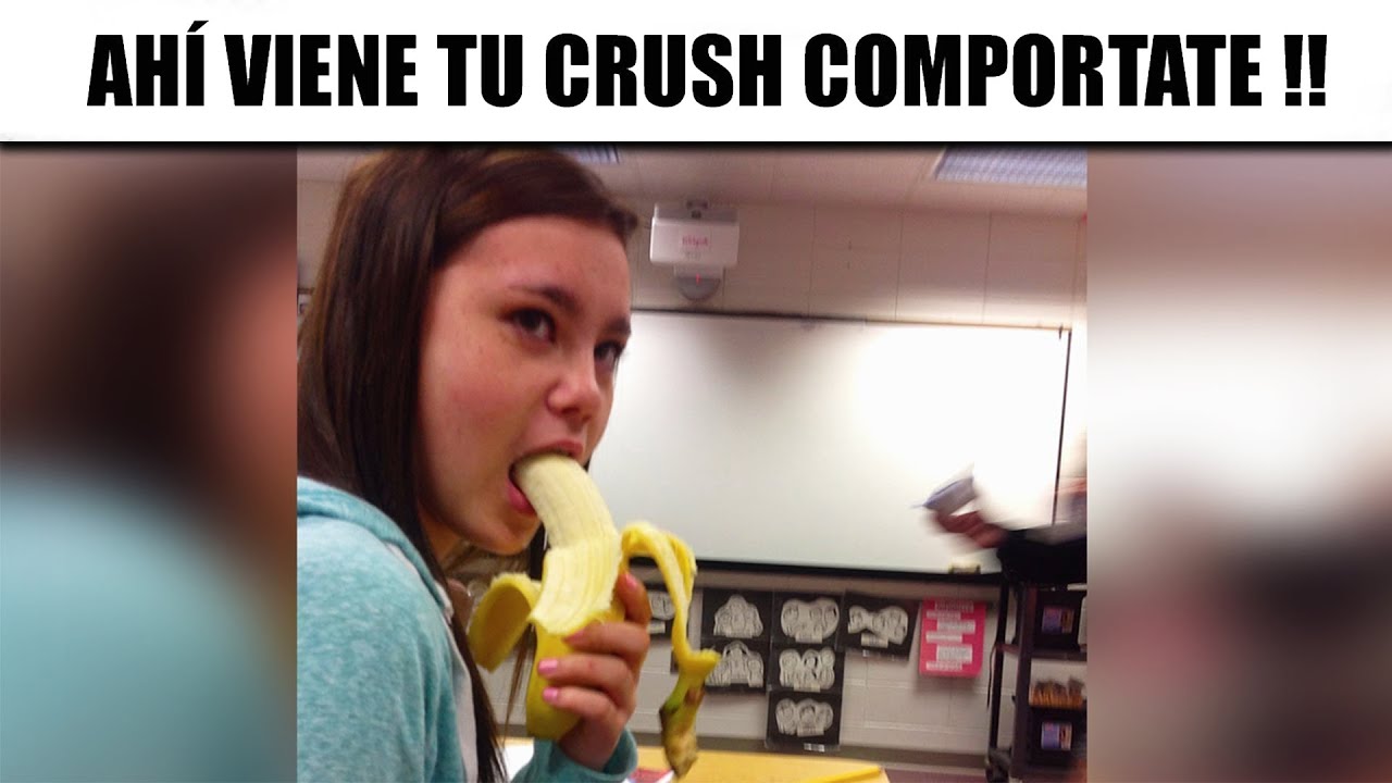 MEMES ALGO XD #29