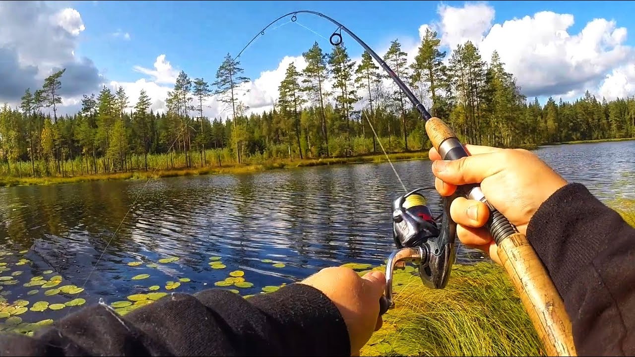 Metsälammella jigaus | Laavulla grillaus