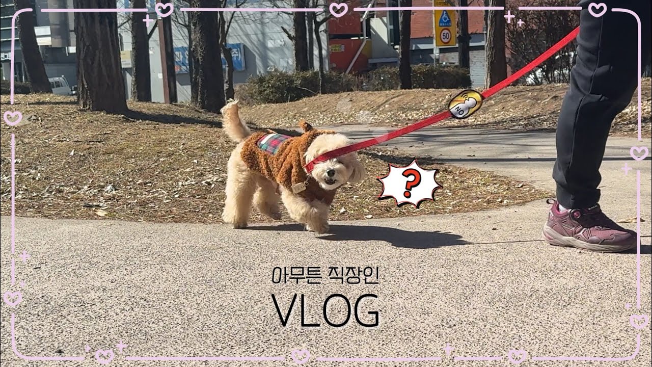 [vlog] 월요일부터 치킨 회식🍗 | 모니터 살인마 💻 | 힘들 땐 반차쓰고 쉬어주기 | 강아지 셀프미용 🛁