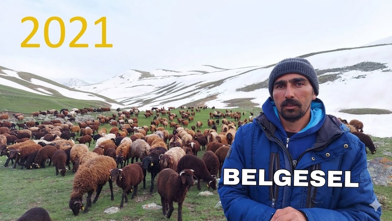 BİR YILLIK ÇOBANLIK SERÜVENİMİZ KESİTLERLE ÖZET (2021)