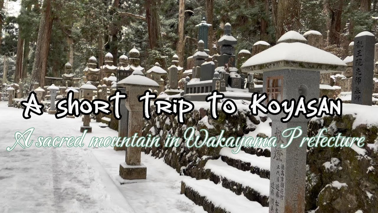 A small trip to Koyasan in Wakayama Prefecture,Japan🇯🇵#travelvlog #beautifulnature  #explore #japan 