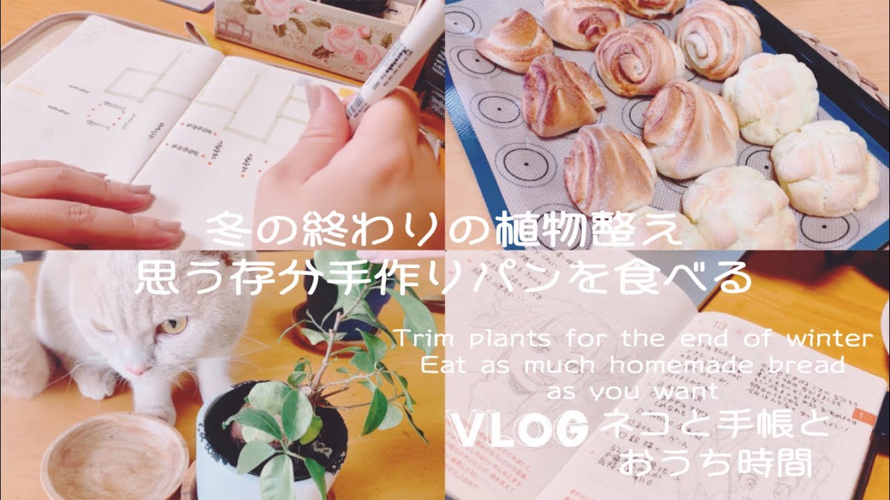 食パン／メロンパン／シナモンロール／ほぼ日手帳にお絵描き／ウィークリーページ作り
