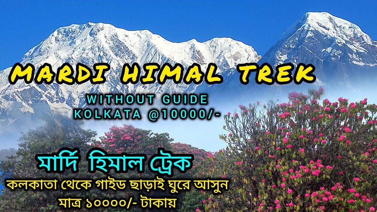 MARDI HIMAL TREK 2025 | MARDI HIMAL BASE CAMP | মার্দি হিমাল ট্রেক | MARDI HIMAL TREK IN APRIL