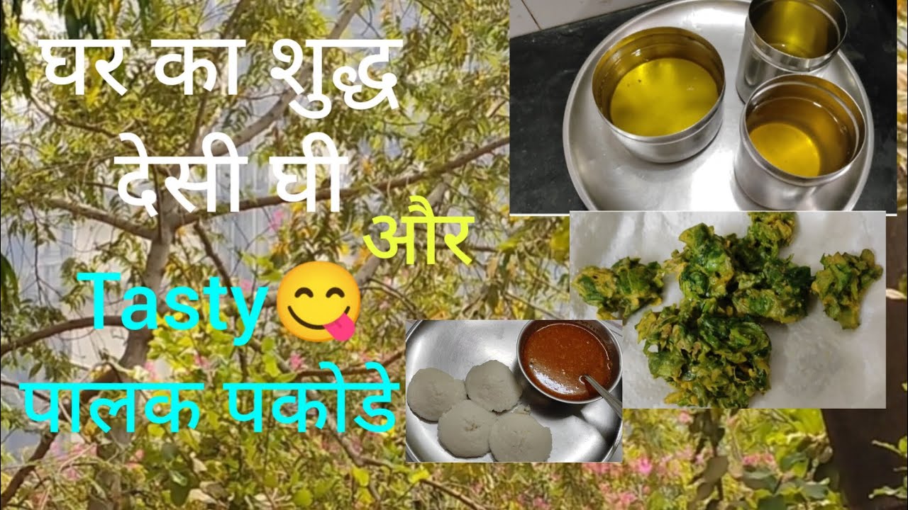 Homemade pure desi ghee | Tasty😋 पालक पकोडे और इडली सांबार |Daily life Journey |#recipe #home 