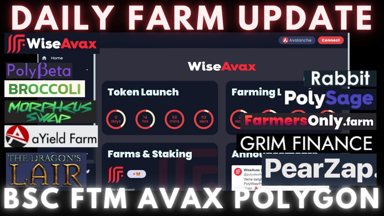 Daily Degen Farm Update | BSC - FTM - AVAX - POLY | New Farms and L2s