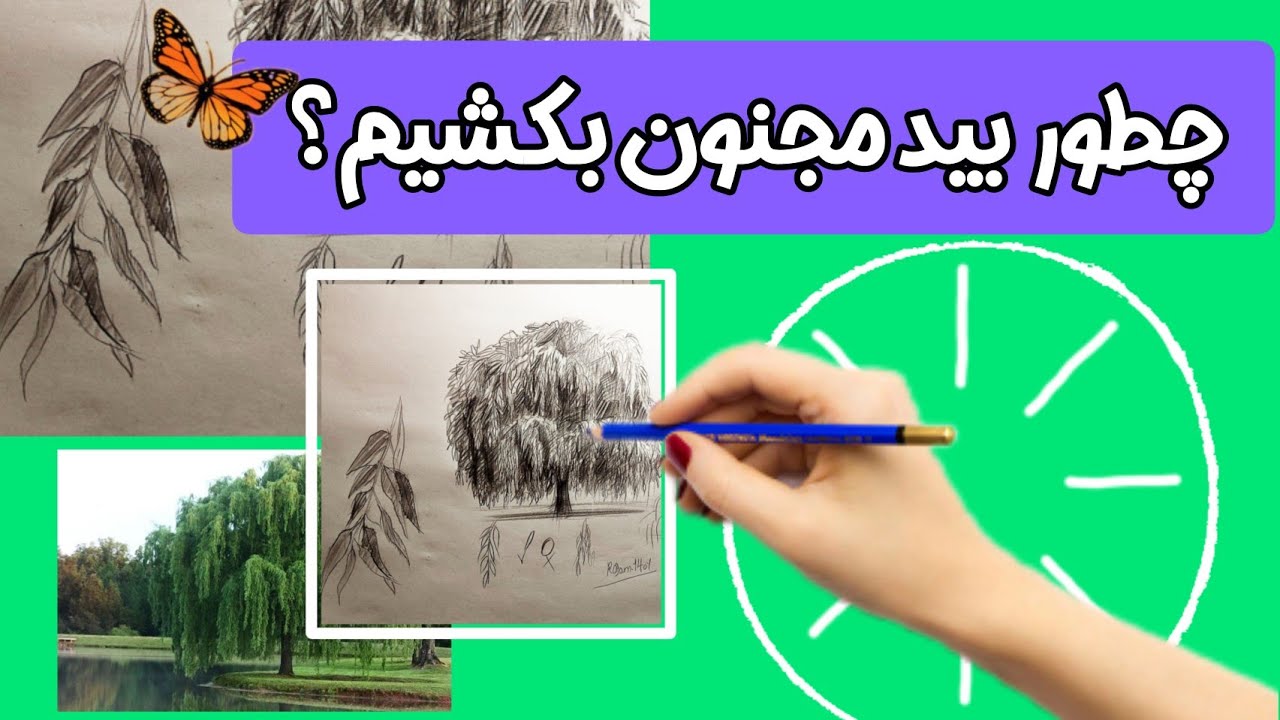 طراحی درخت بید مجنون(درخت گیسو)