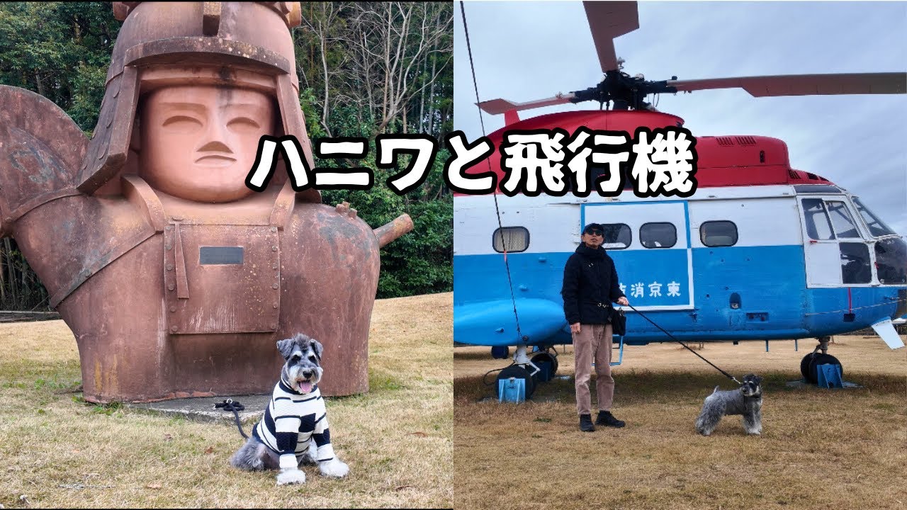 【千葉県はにわ博物館】航空科学博物館/犬と飛行機鑑賞