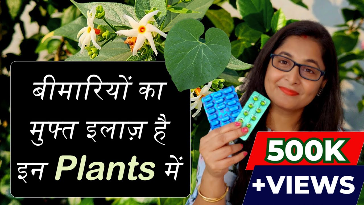 🔴💊 7 Medicinal Plants, their uses for Healthy Life / Ayurvedic Plants #gardening #ayurvedicplants