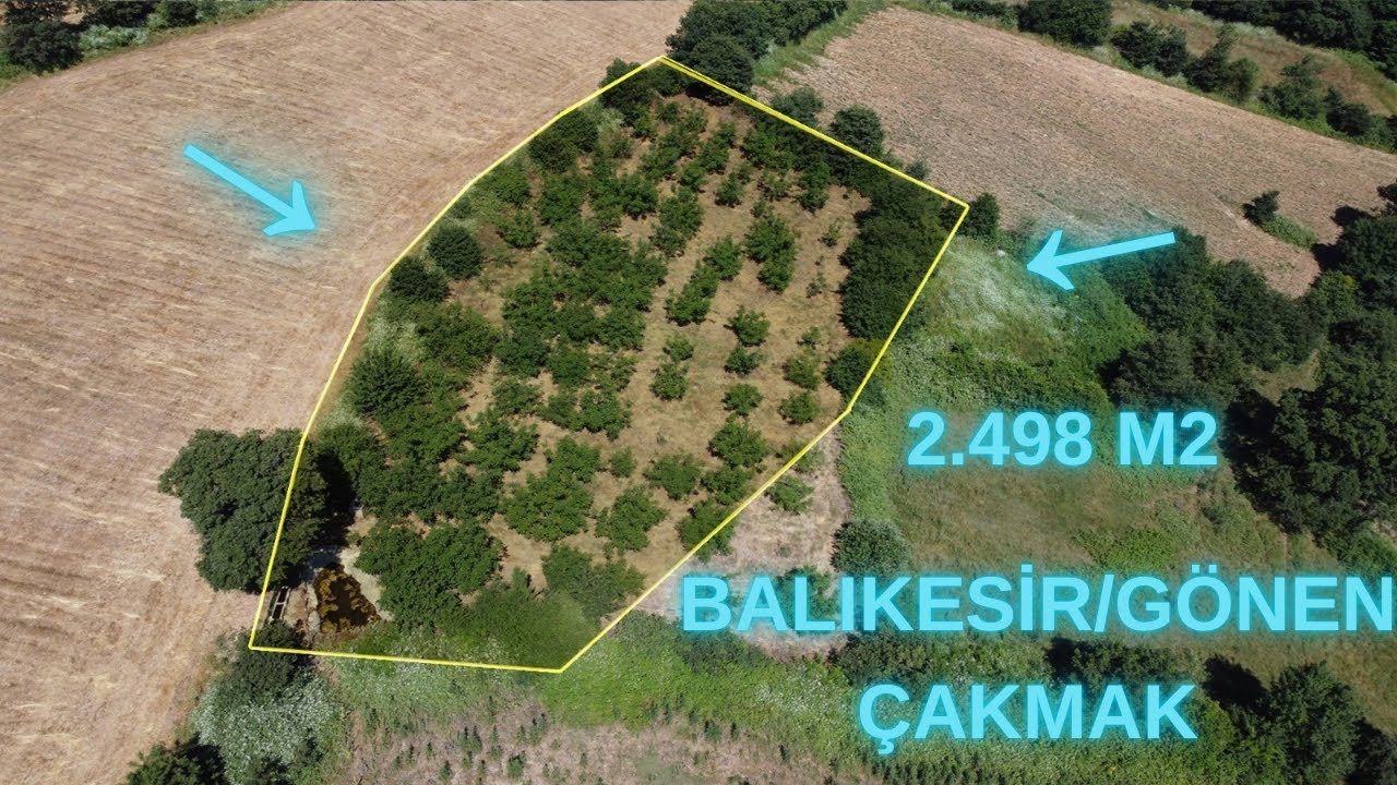BALIKESİR/GÖNEN/ÇAKMAK KÖYÜNDE 2.498 M² SATILIK CEVİZLİK