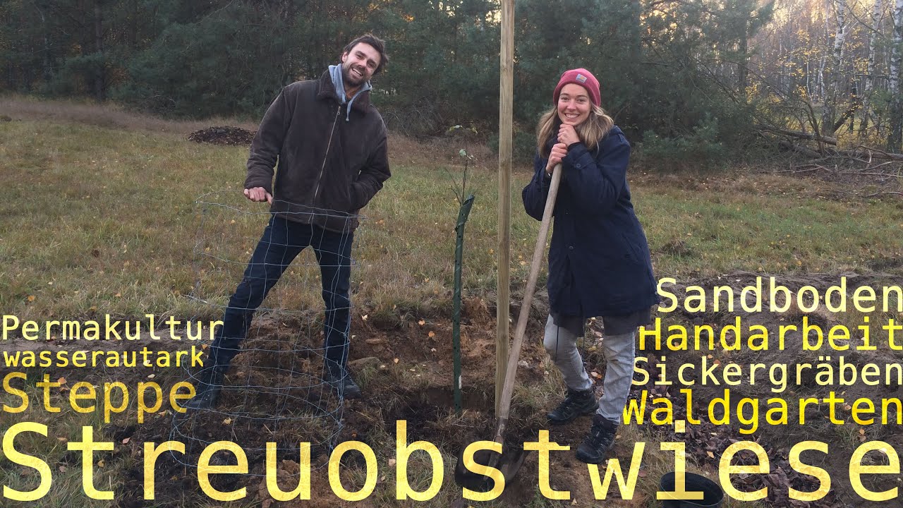 Unser Naturprojekt ::: das Streuobst-Waldgartensystem mit Sickergräben