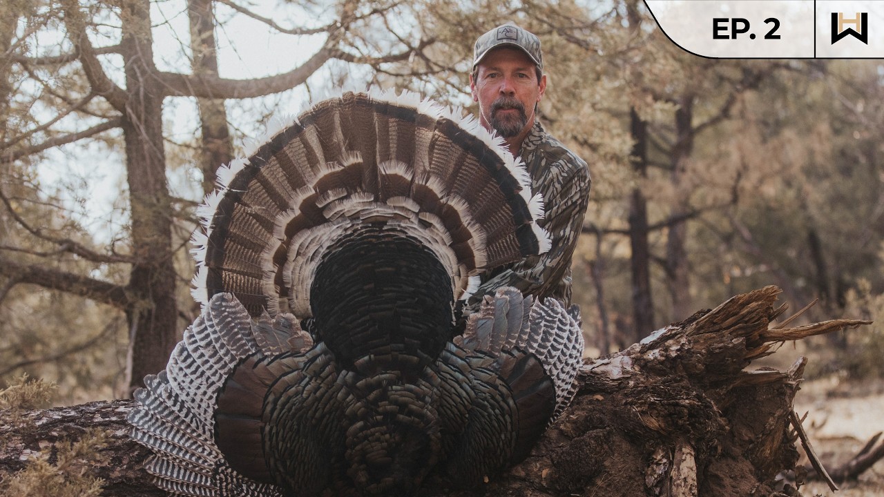 What Makes the Gould’s Turkey Different? | Hunting Mexico with Dr. Mike Chamberlain