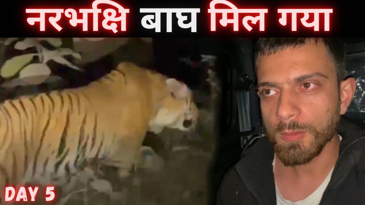 Maneater Tiger मिल गया 🐅 । Live Encounter With Tiger | Tiger Attack | Jim Corbett National Park Ep5