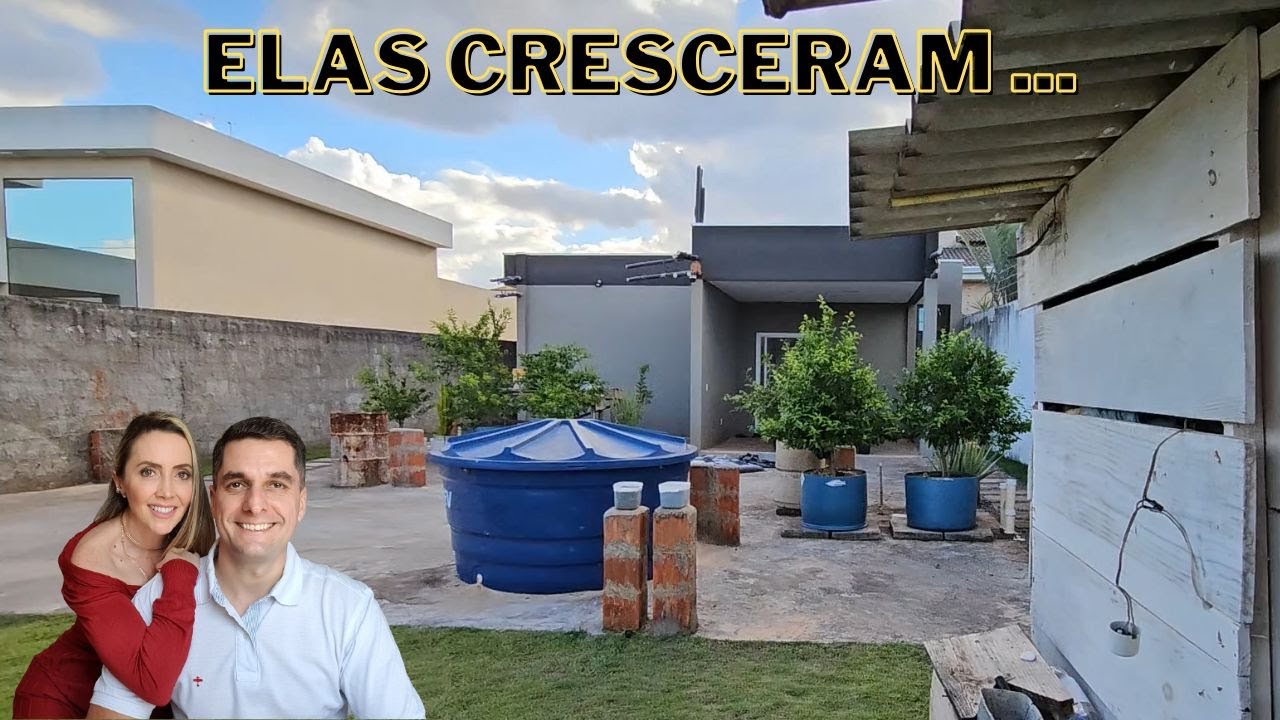 COMO PLANTAR FRUTIFERAS EM VASOS NO JARDIM #PARTE 2 | MUDAS | POMAR