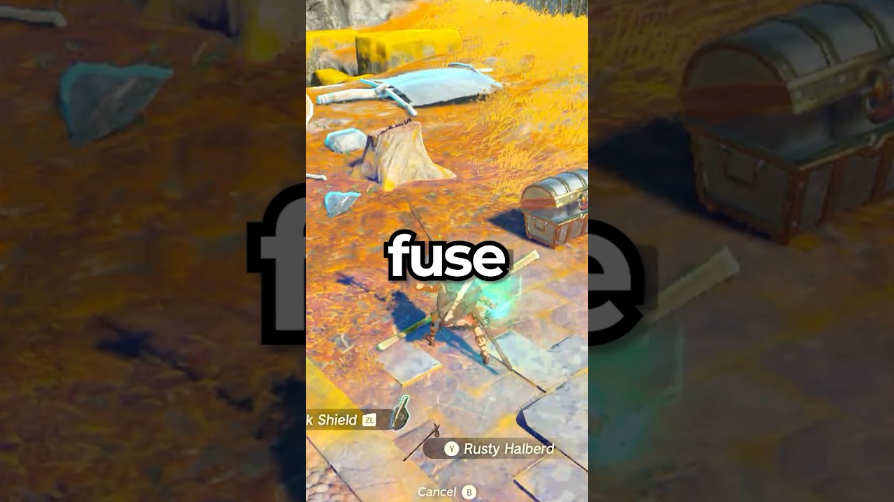 The BEST Fuse Combos in Tears of the Kingdom!