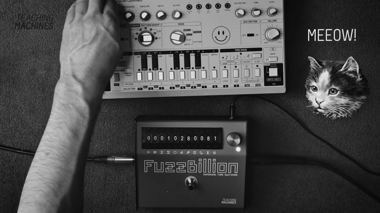 303 (TD-3) + the FuzzBillion - TECHNO TALKTHROUGH!