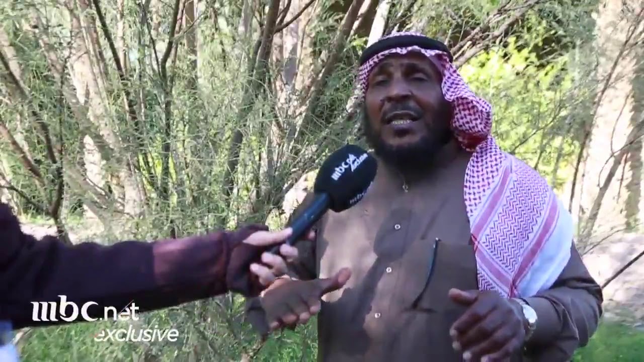 زراعة أشجار المورينجا في محافظة العلا