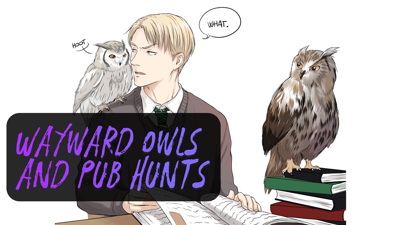 Harry Potter audio fanfic: Wayward Owls and Pub Hunts  (Draco Malfoy/Harry Potter)