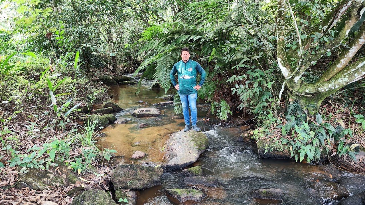 Chácaras na zona rural de Jaqueira PE 1 hectare $70 mil reais 