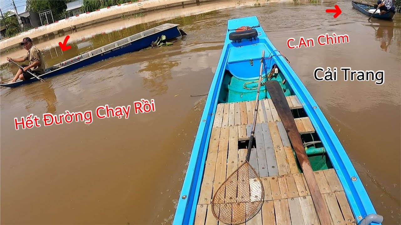 Mất Hồn Chạy Thoát Thân Bị Cốm Giả Dạng Tiếp Cận | Kích Cá Miền Tây | Cacth Fish