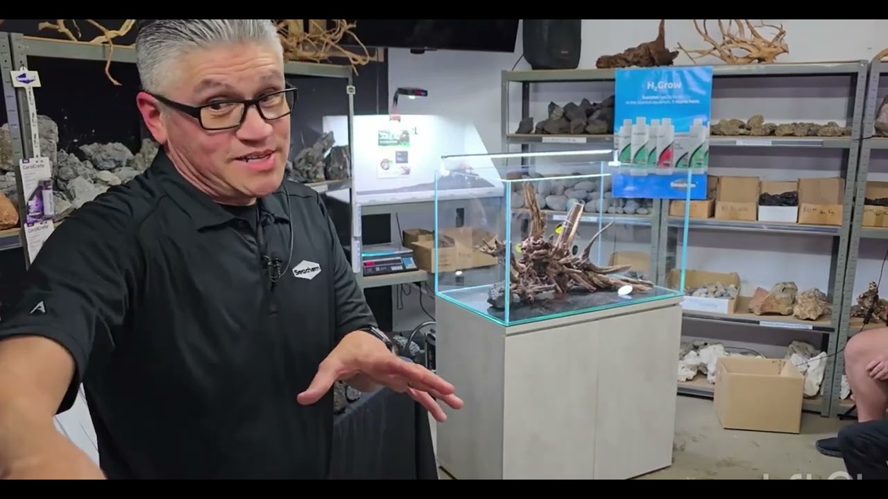 Aquascaping master class by Luis Navarro @ Mad Aquariums