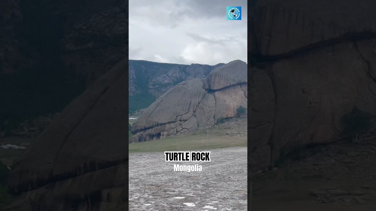 TURTLE ROCK #TereljNationalPark #MongoliaTravel  #NatureWonder #TravelMongolia #HiddenGems