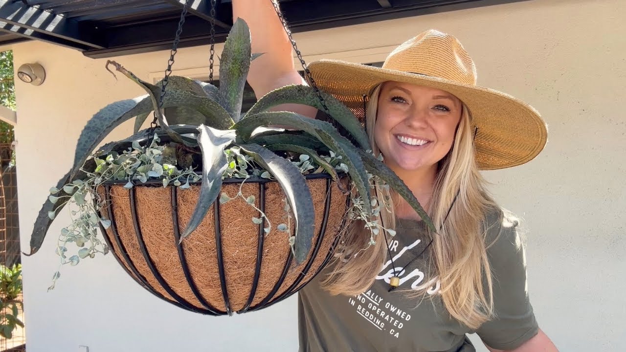 Making The Coolest Hanging Baskets 🤩 Featuring Proven Winners Mangave!