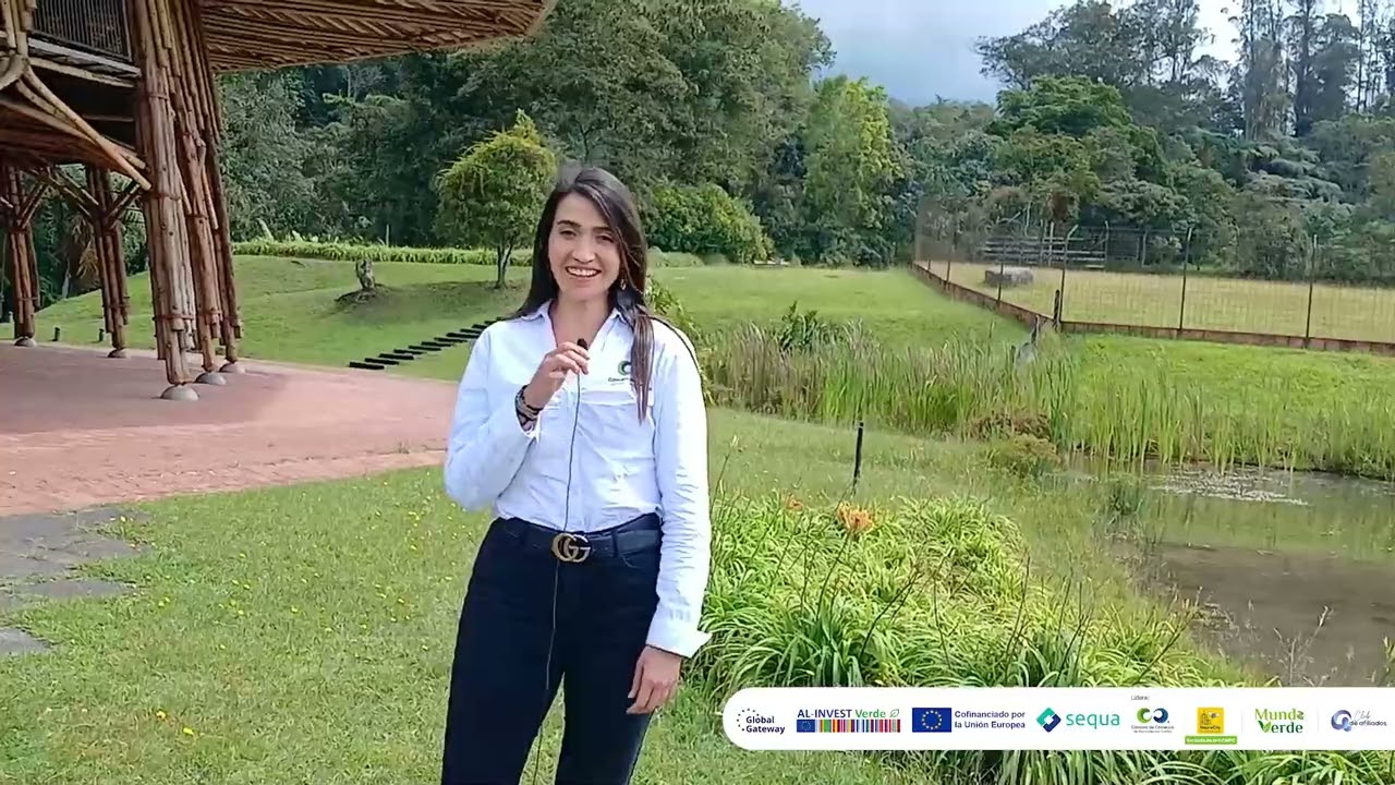 Mundo Verde
