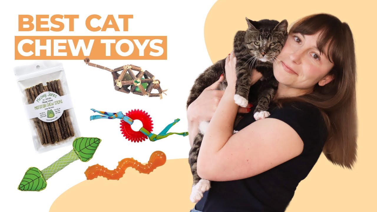 The Best Chew Toys For Cats