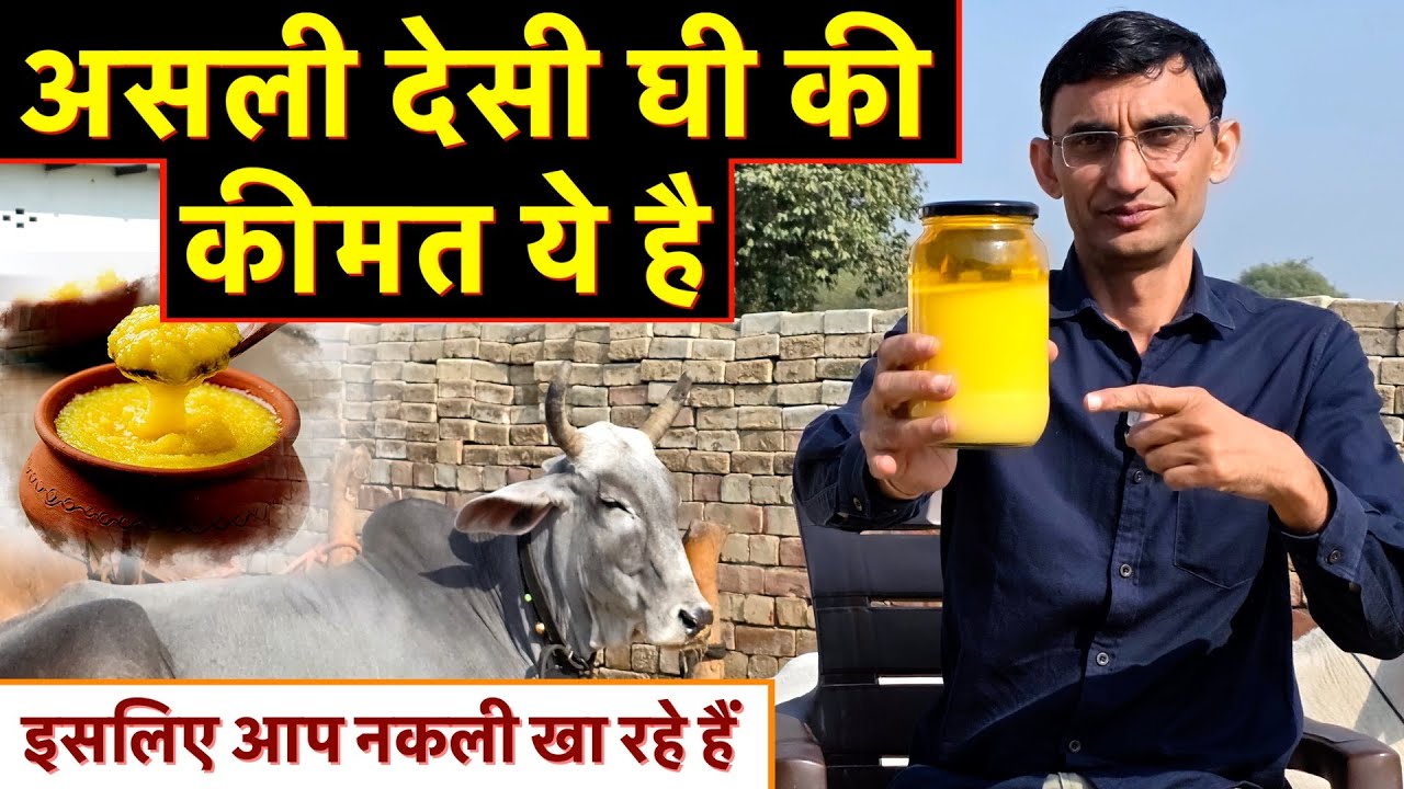 एक किलो असली देसी घी की कीमत ये है, हम नकली कैसे खा रहे हैं देख लीजिये || Technical Farming ||