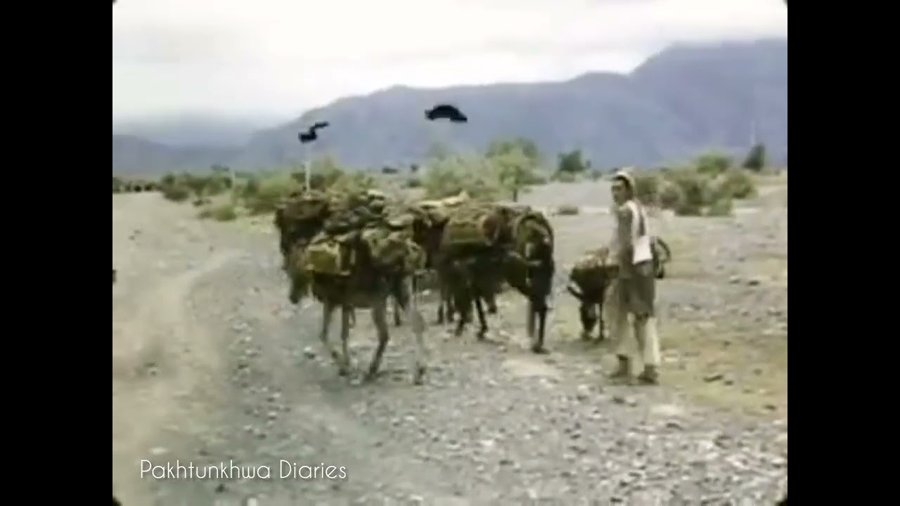 An Old Video of 1950's of Khyber Pakhunkhwa (NWFP). Part 1.