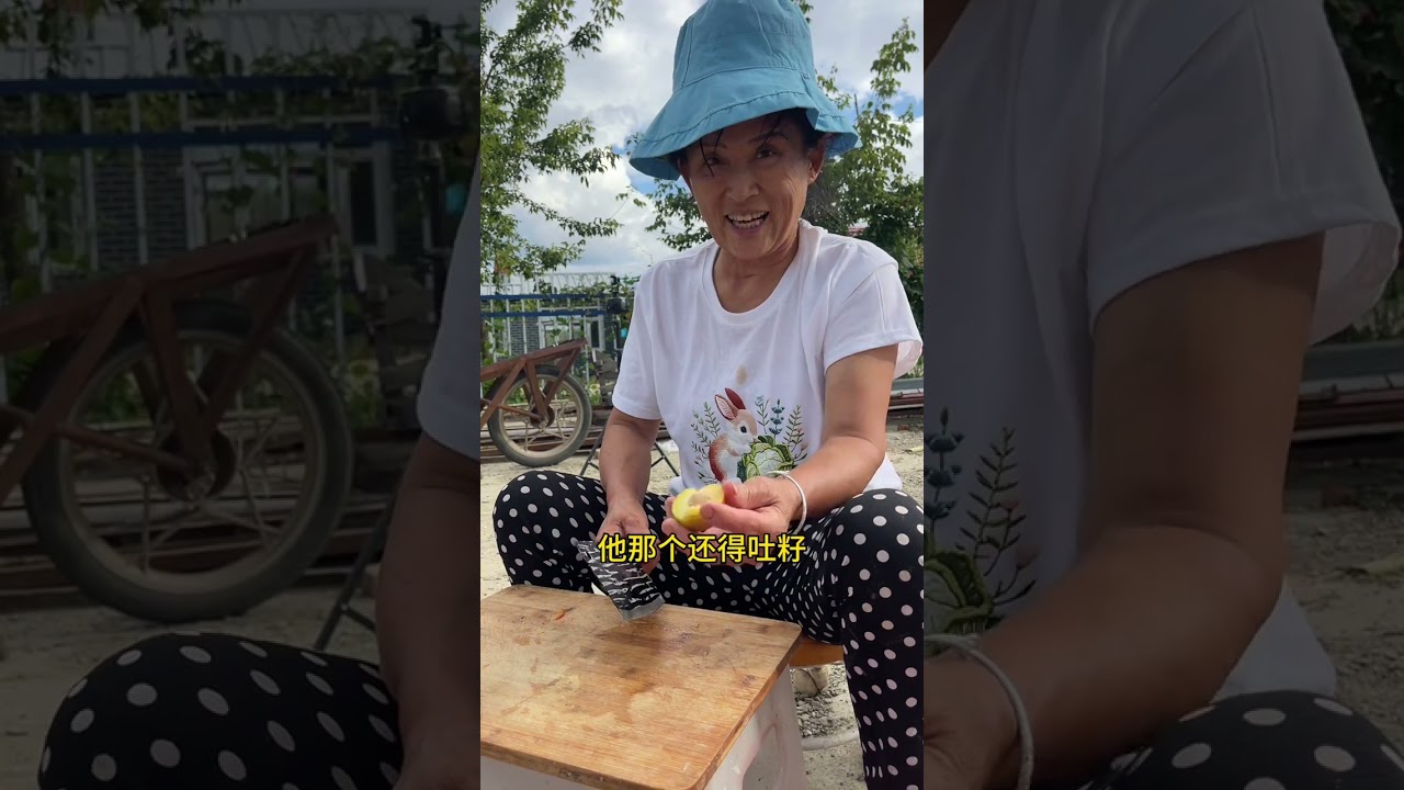 今天下了一天的雨，没去采蘑菇，看我家前两天揪回的李子多不多。#我的乡村生活 #新农人计划2025 #李子 #