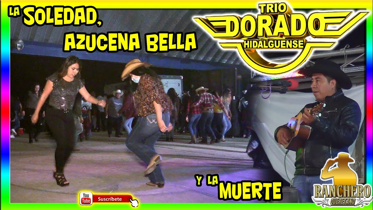 Trio Dorado Hidalguense  - La soledad la Azucena Bella y la muerte