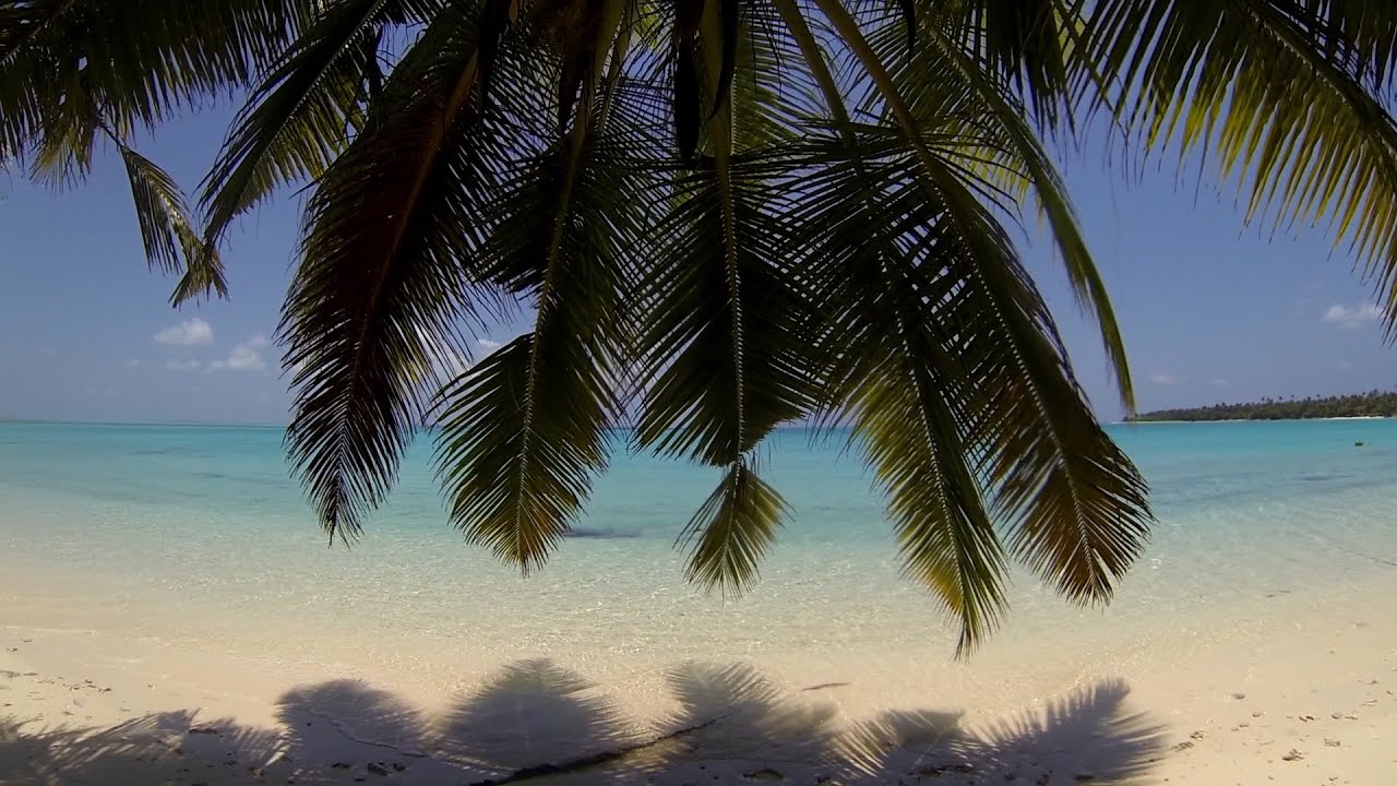 Cocos (Keeling) Islands Dive Adventure