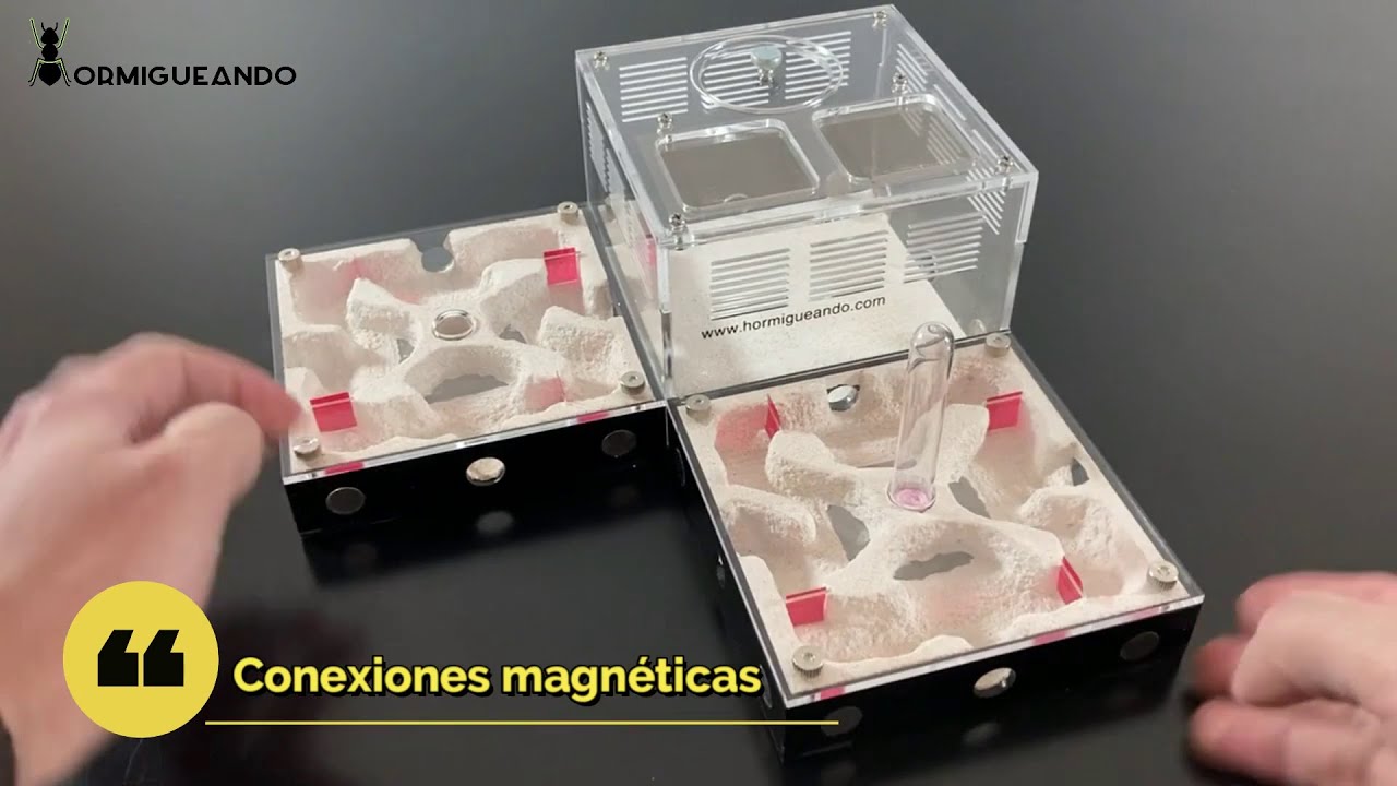 Hormiguero Natur-Magnet H Hormigueando