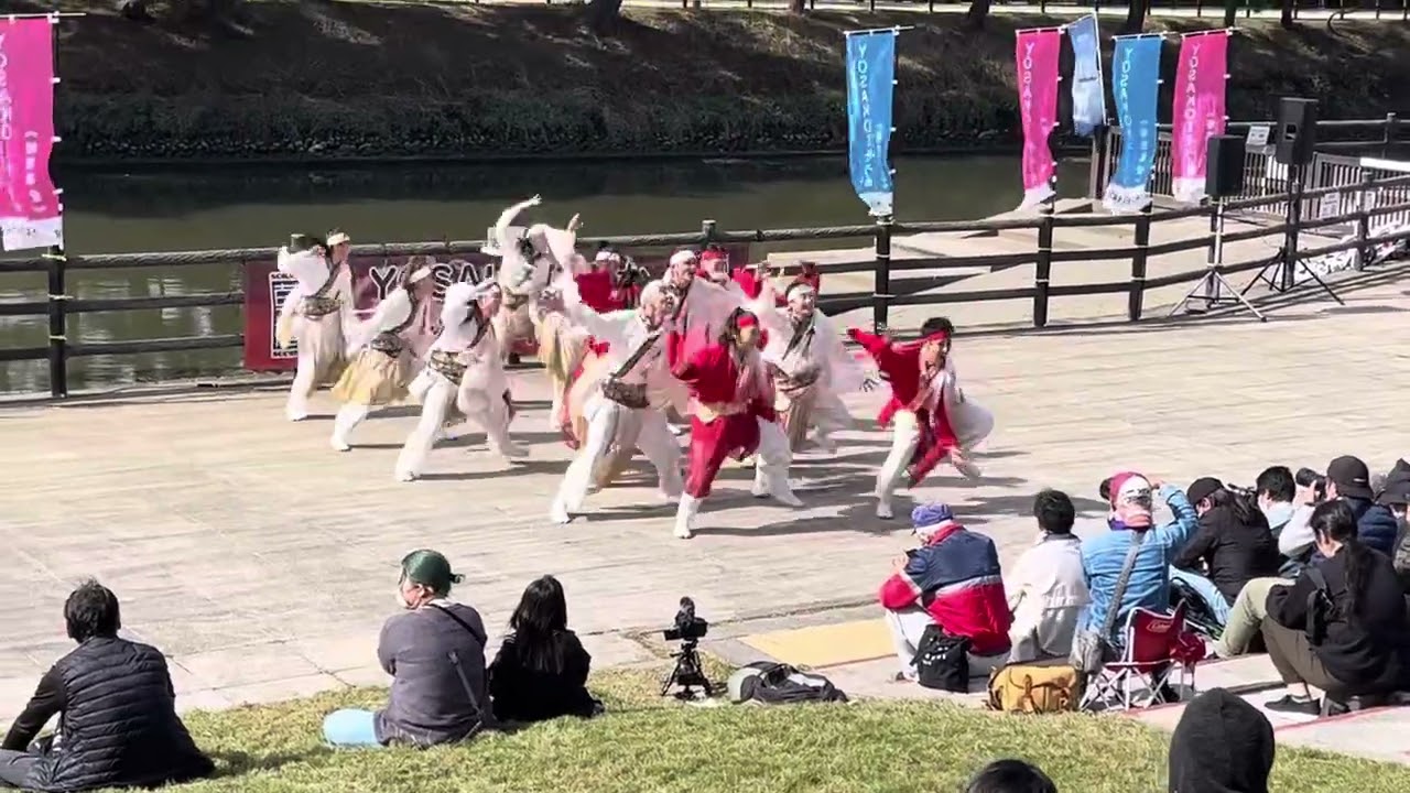MIROKU〜二つ巴〜/草加よさこい/ウォーターフロント会場（1回目）/2025年11月3日（祝月）/相模RANBU○＋須賀IZANAI連関東