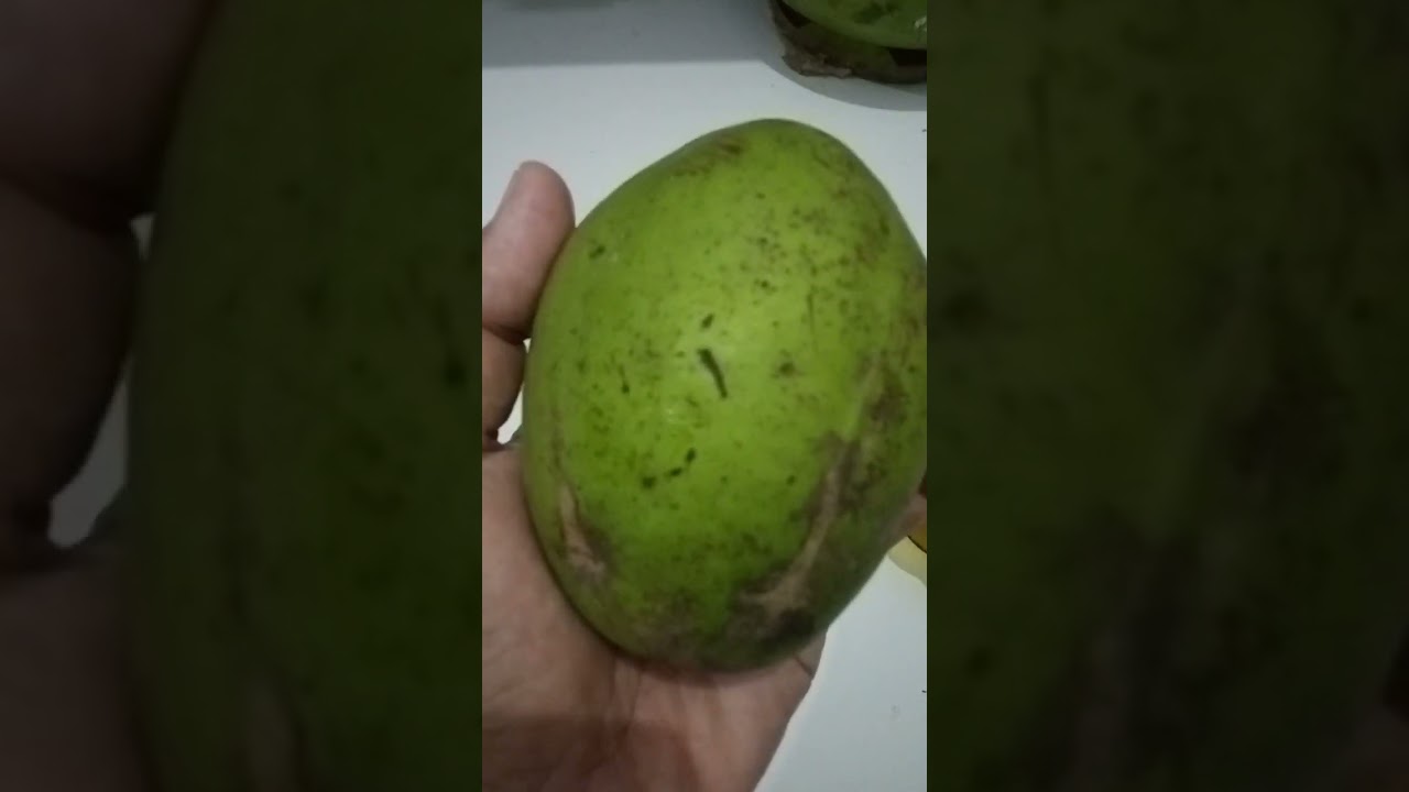 kedondong bangkok