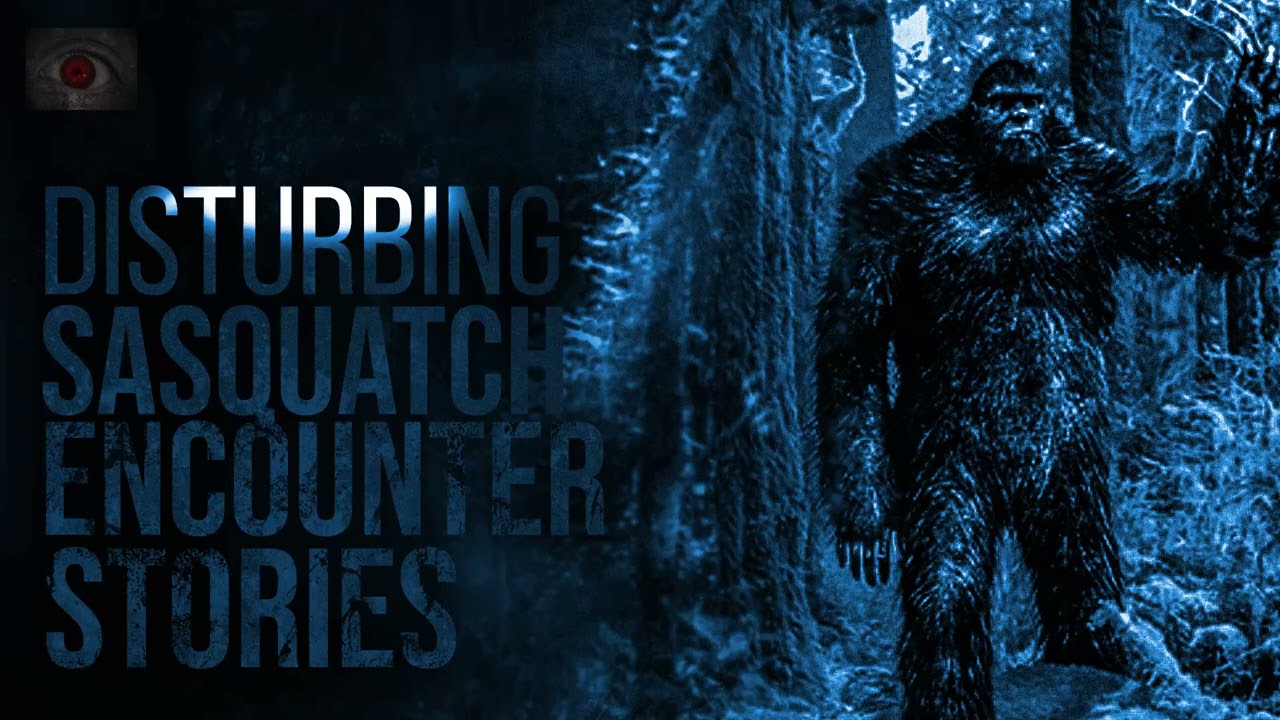 TERROR IN THE MOUNTAINS - SCARY BIGFOOT SIGHTING STORIES